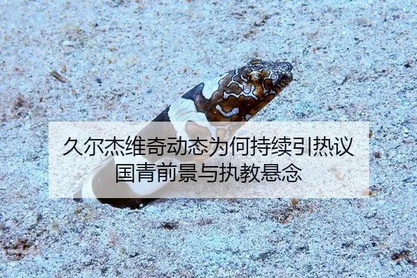 jiu-er-jie-wei-qi-dong-tai-wei-he-chi-xu-yin-re-yi-guo-qing-qian-jing-yu-zhi-jiao-xuan-nian-2-295.jpg